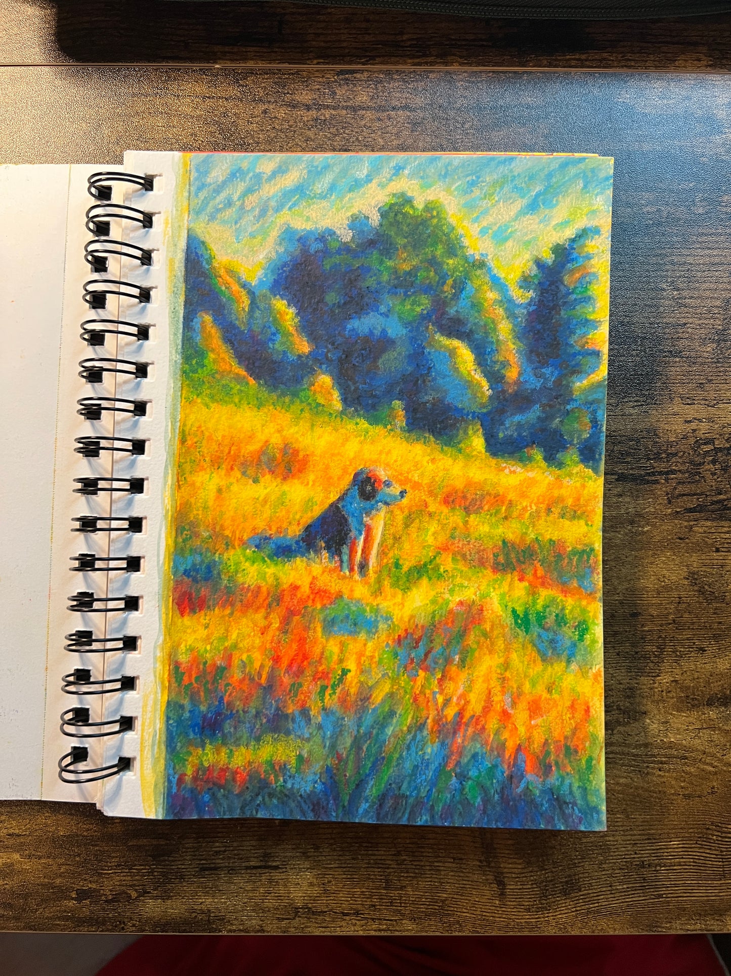 feels like a sunset