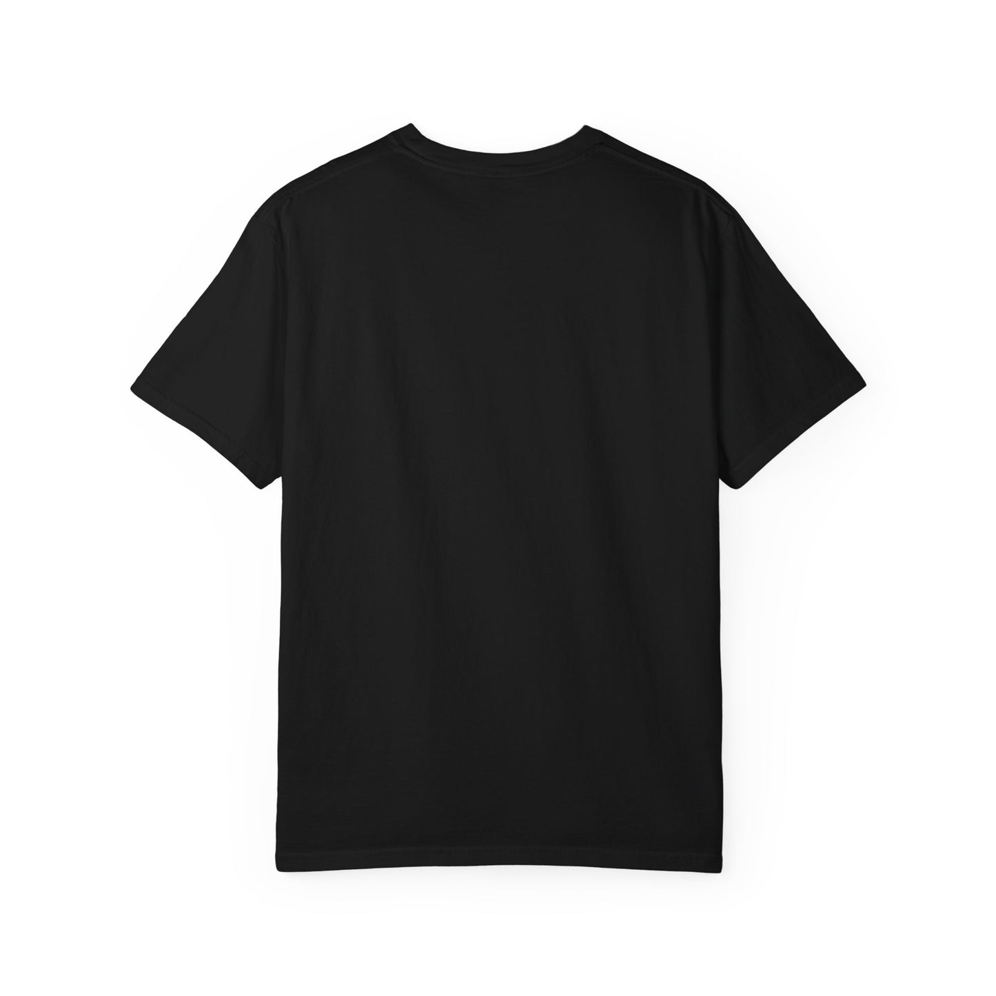 nordic skateboard supply vintage t-shirt