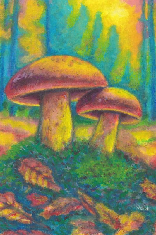 feels like a walk in the forest